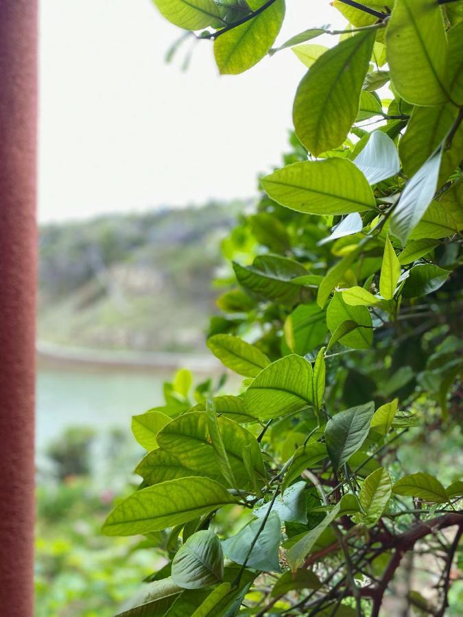 Apartments Zala Matusan Supetarska Draga Εξωτερικό φωτογραφία