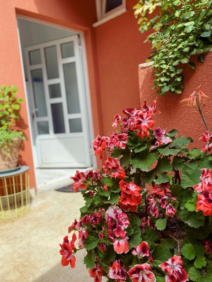 Apartments Zala Matusan Supetarska Draga Εξωτερικό φωτογραφία